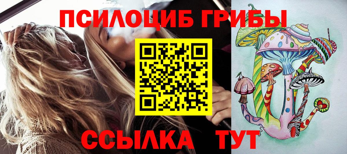 Новороссийск  Псилоцибиновые грибы Psilocybine cubensis  купить наркоту  Вход с VPN 